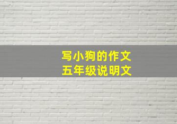 写小狗的作文 五年级说明文